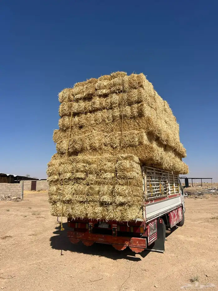 تبن بر صافي 1