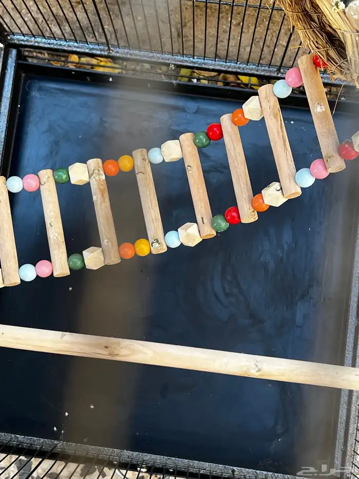 قفص طيور ببغاء 1