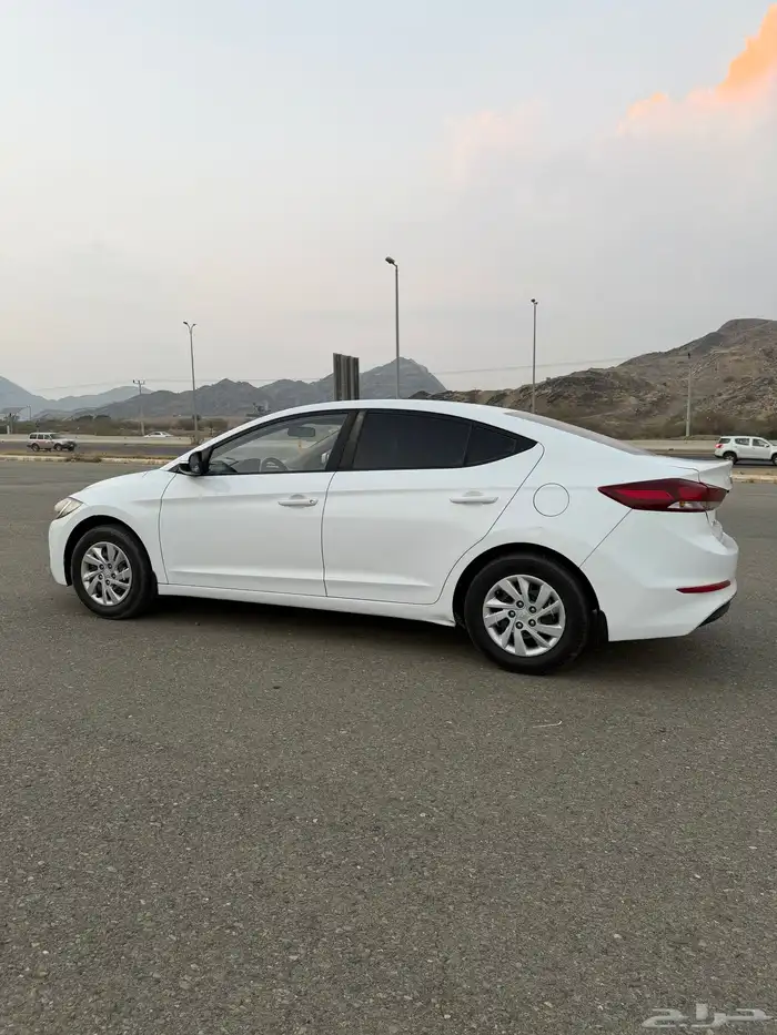 النتراء 2017 18