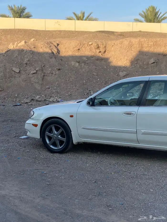 البيع نيسان مكسيما 7