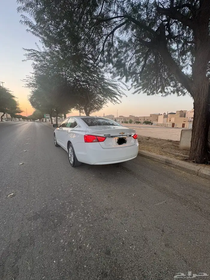 امبالا 2014 LS 13