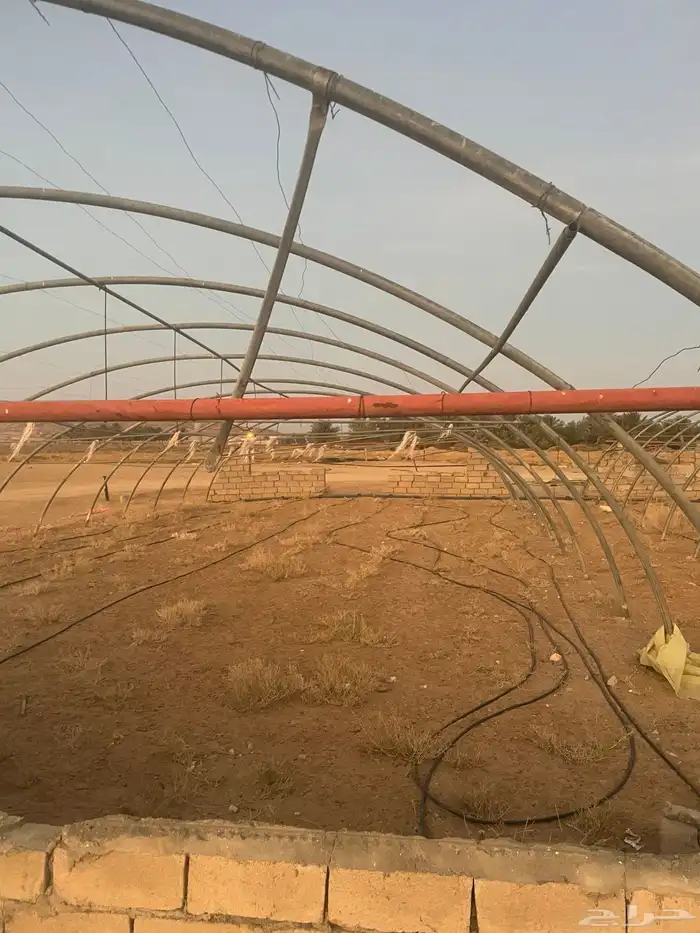 بيوت محميه 3