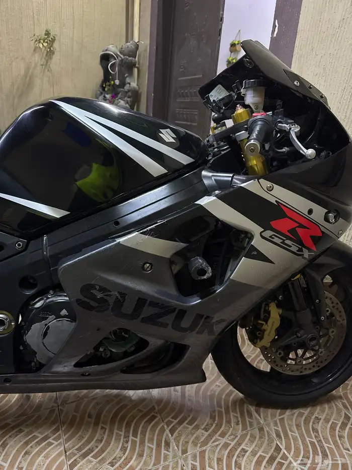 ريس سزوكي 2004 7