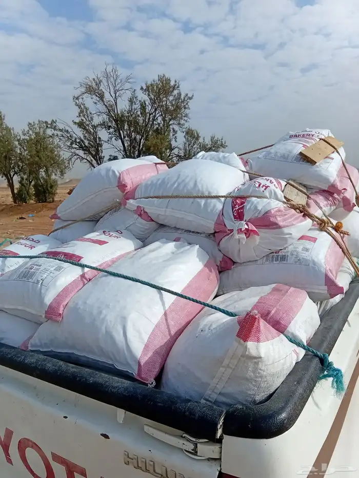 نفيع للبيع 2