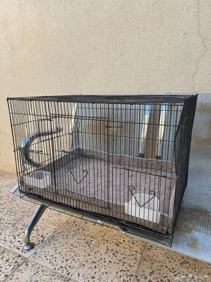 شبك حمام أو طيور   او دجاج 0