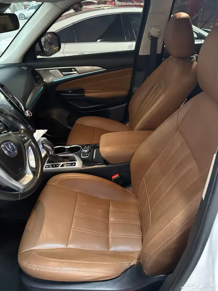 شانجان 2019 للبيع 12