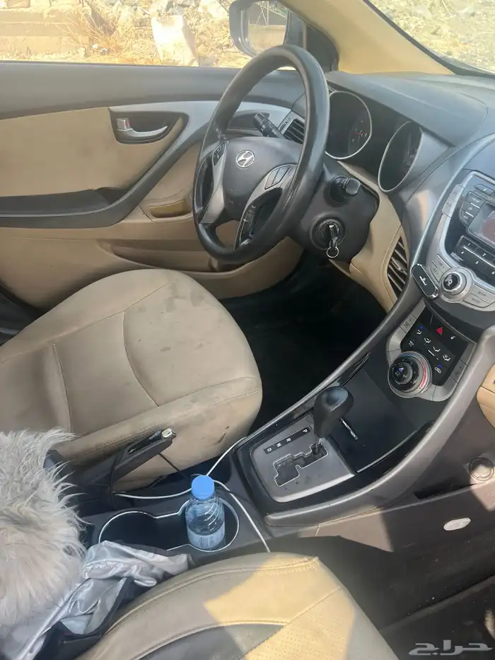 النترا 2013 12