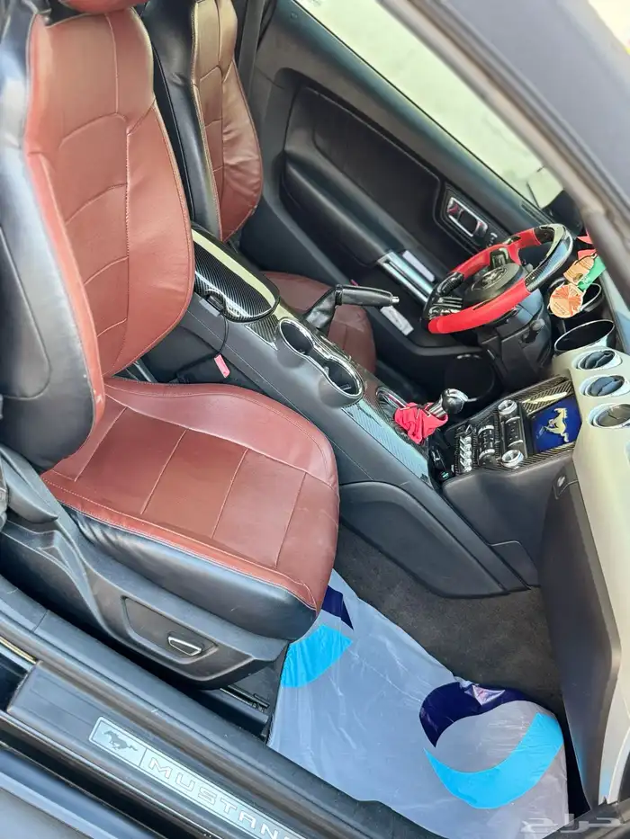 موستنج كشف 2017 5