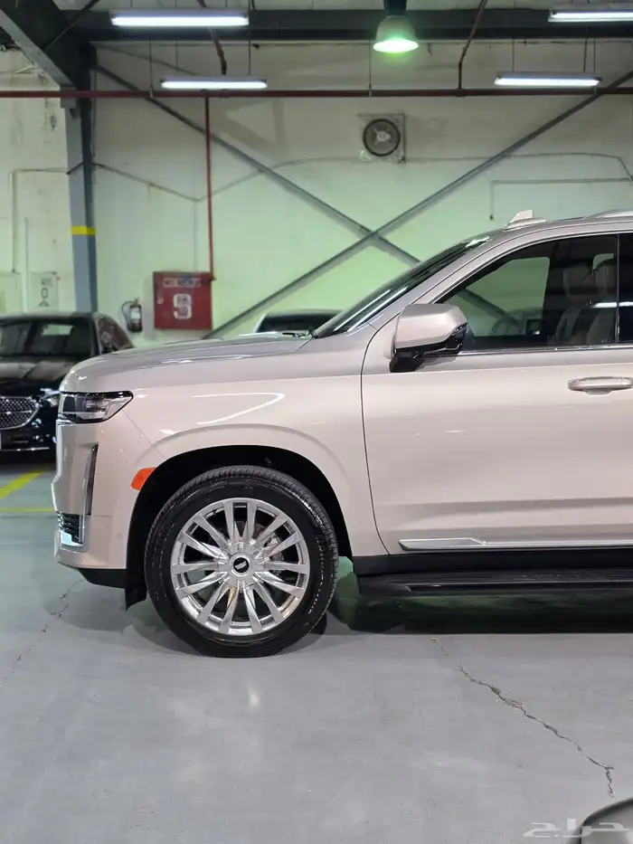 كدلك اسكاليد 2021 4