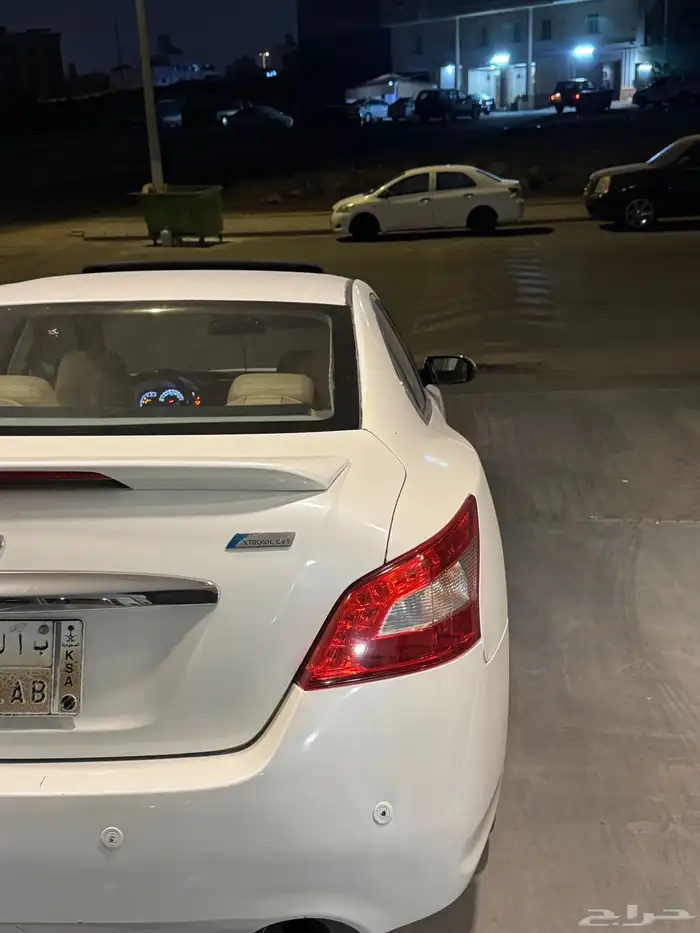 مكسيما 2010 14