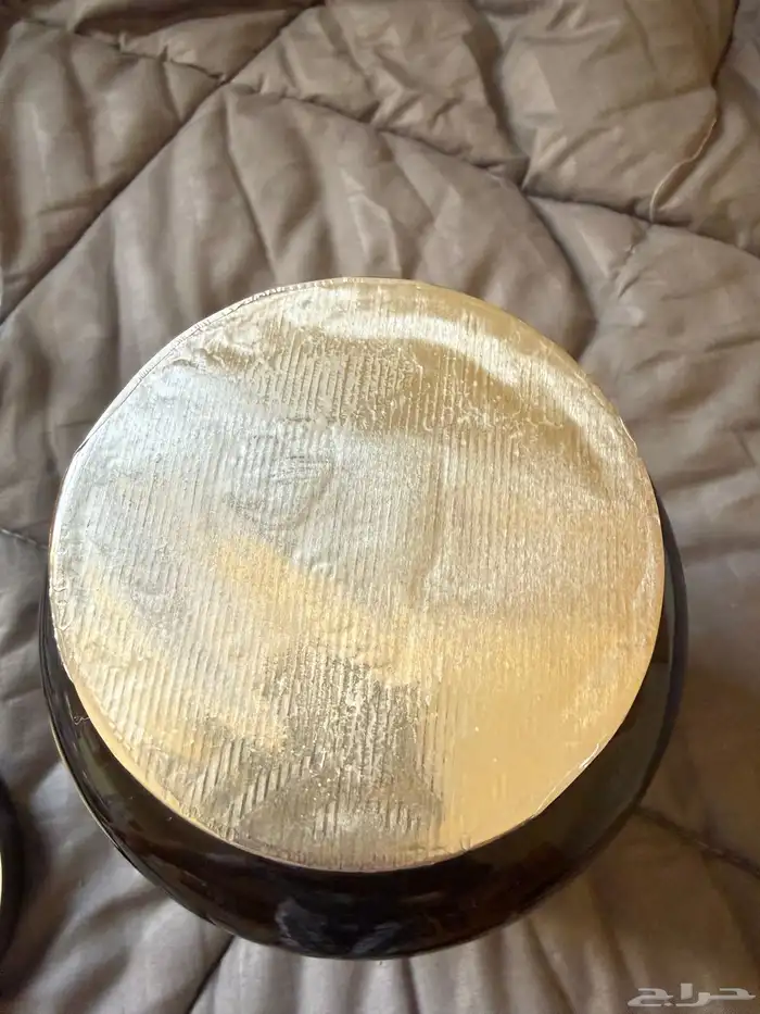 واي بروتين 1