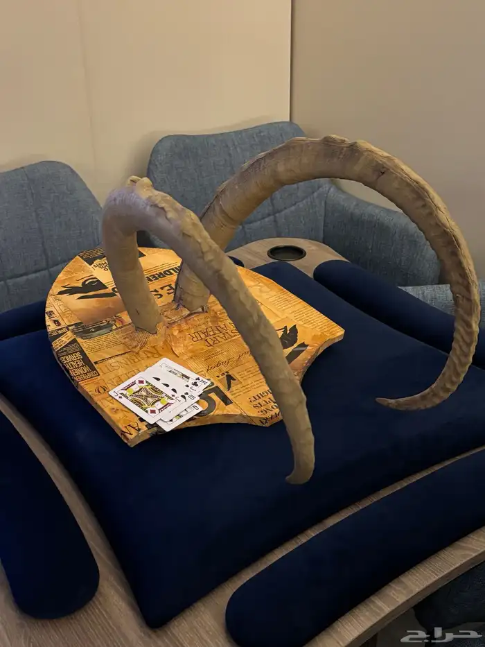 درع قرون وعل كبير 0