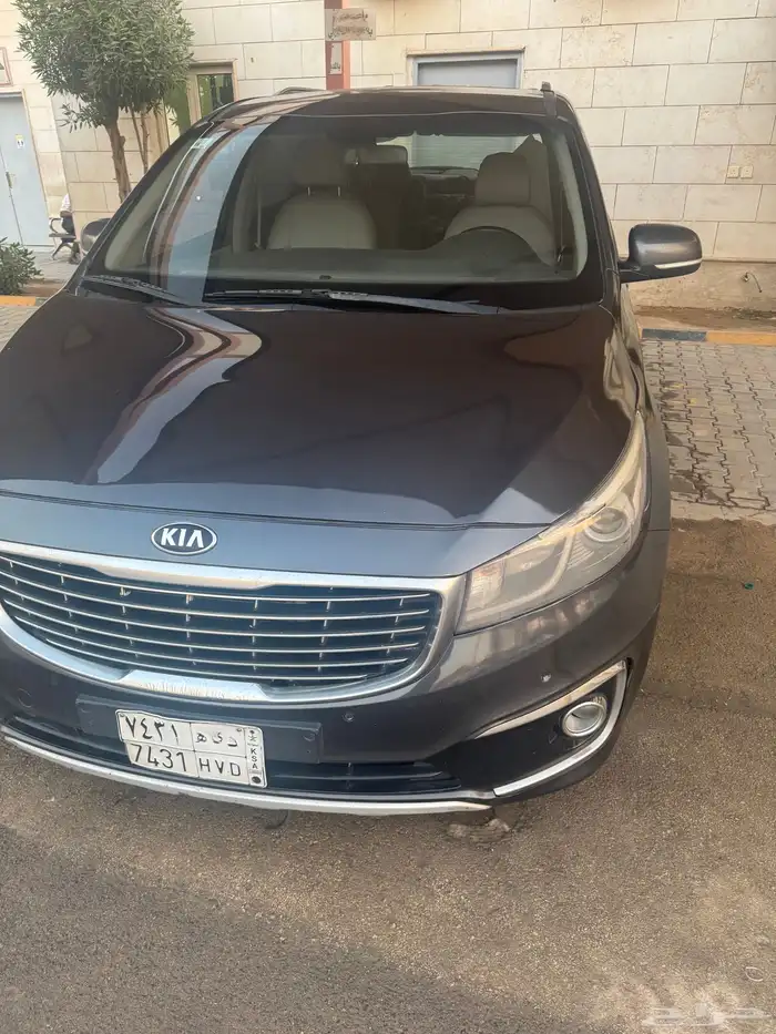 كرنفال ديزل 2017 3