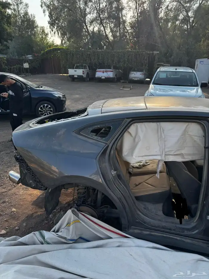 يوني في 2023 تشليح 19