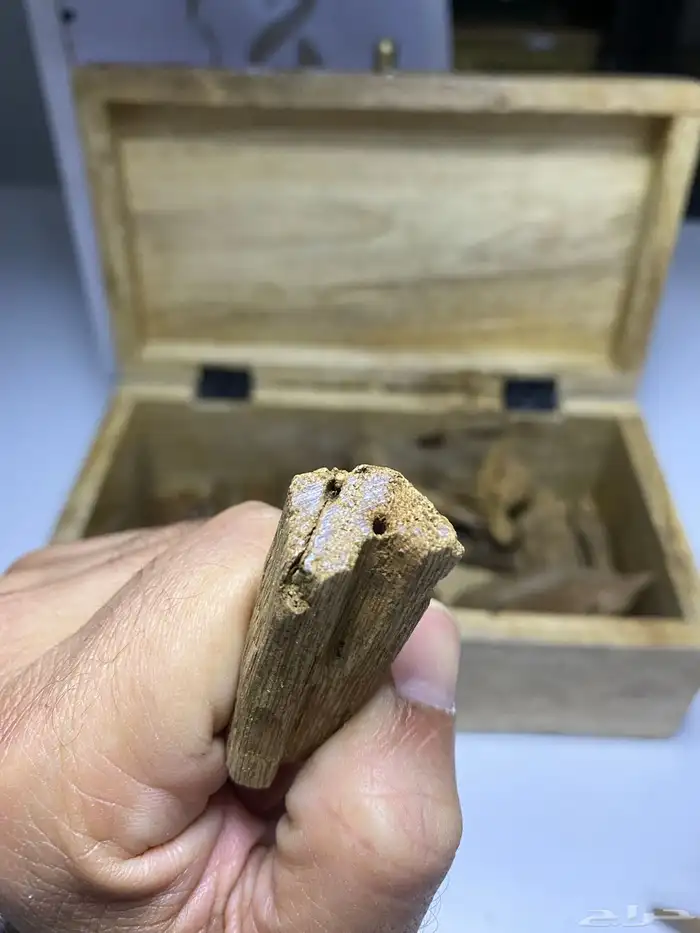 مروكي آصقون طبيعي 2