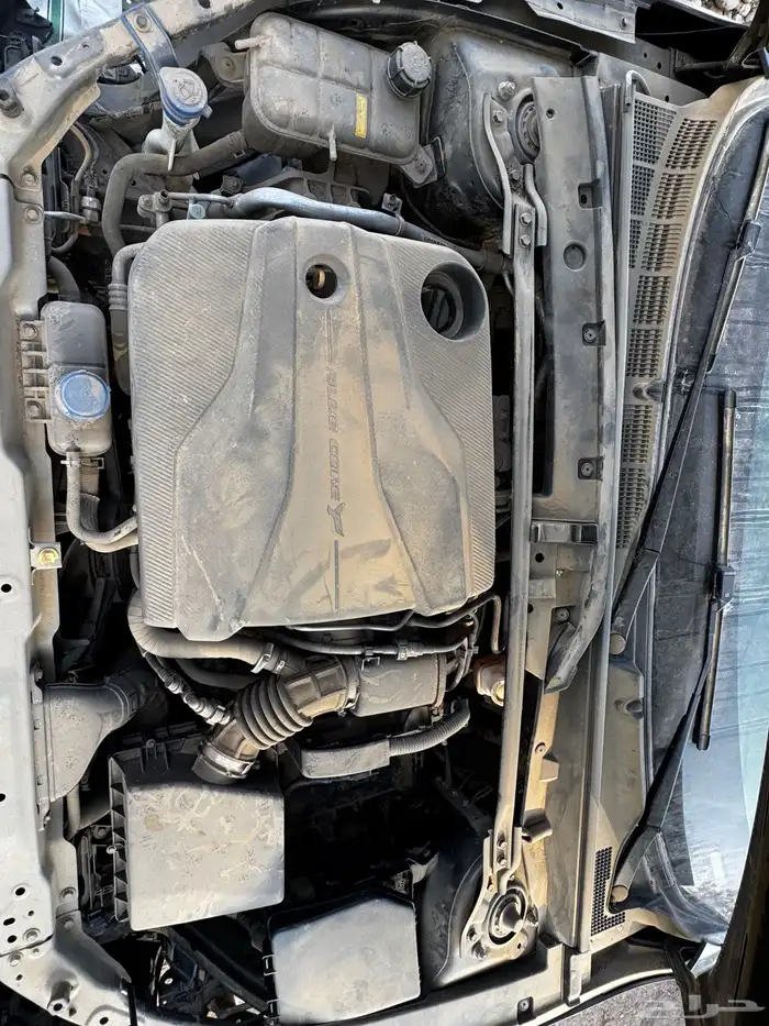 يوني في 2023 تشليح 22