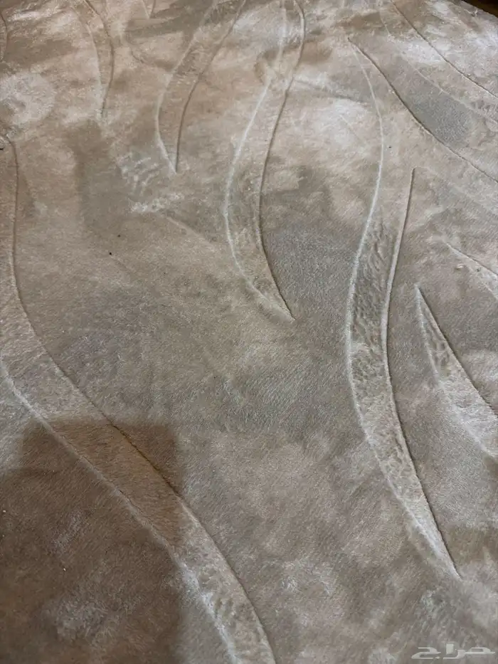 مطلوب معزاء حليب 0