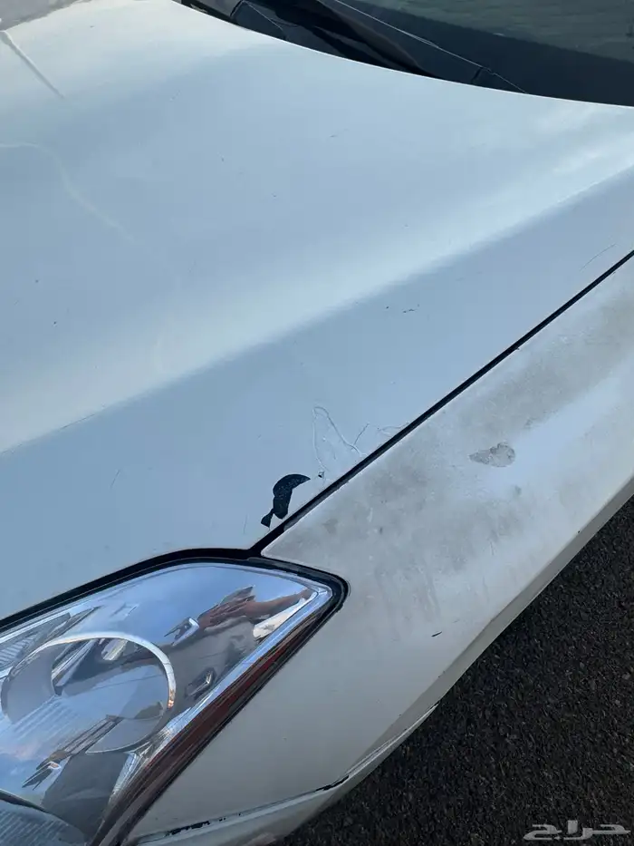 للبيع التيما 2010 7