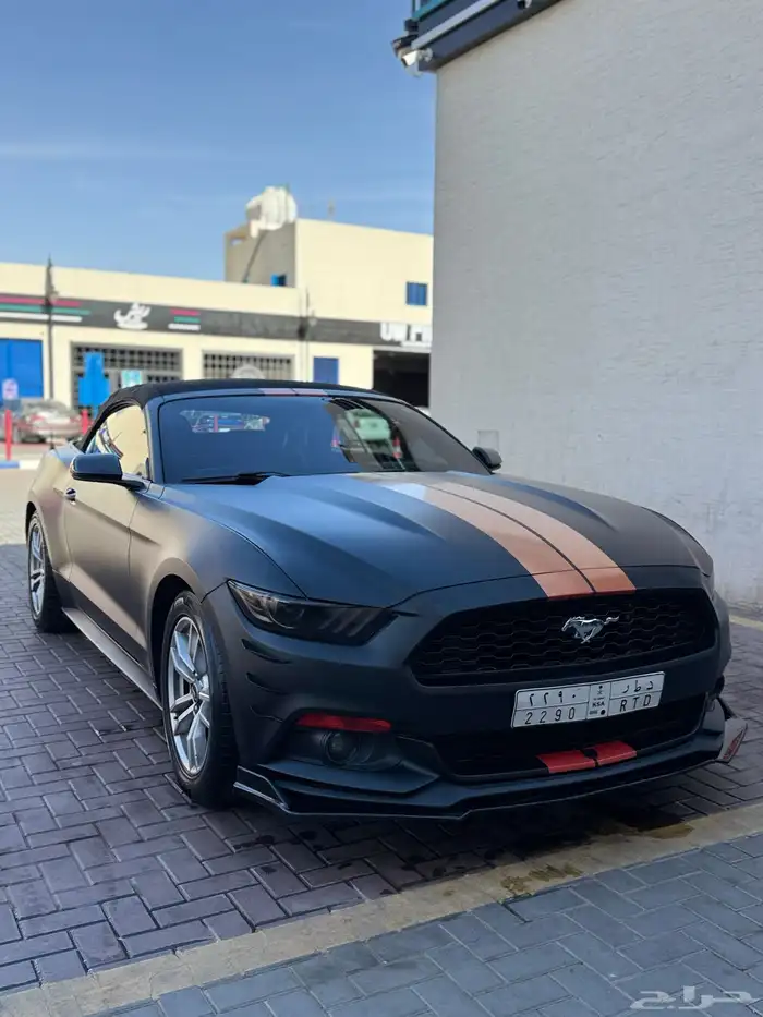 موستنج كشف 2017 1