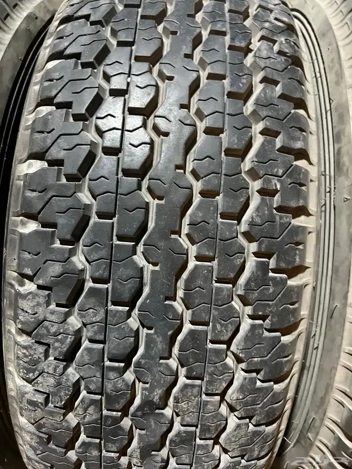 كفرات  دنلوب رف رف 6