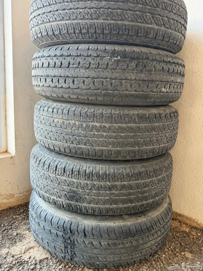 جنوط ددسن 2015 4