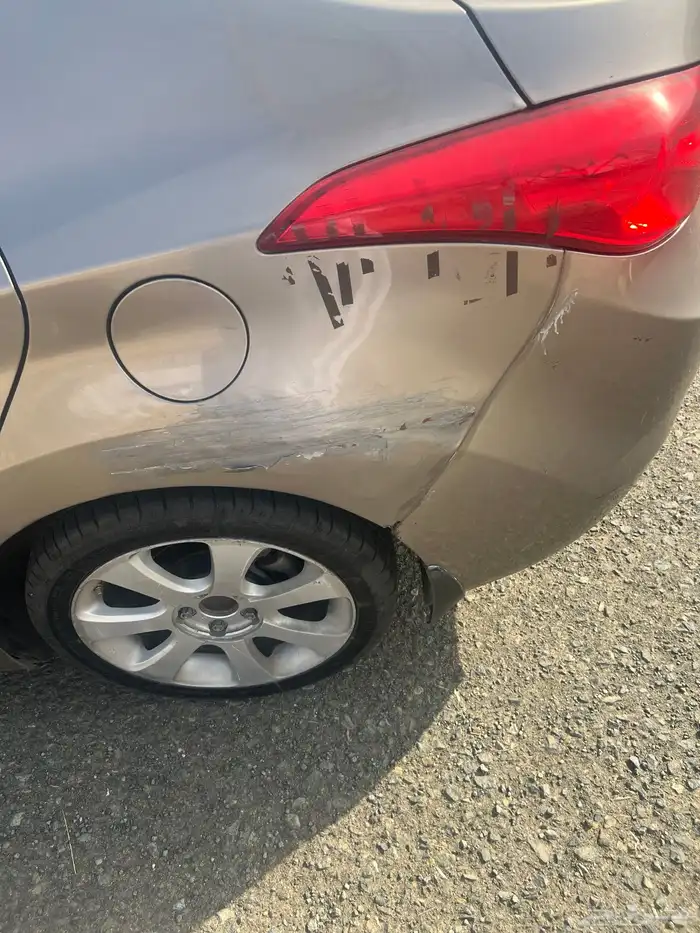 النترا 2013 19