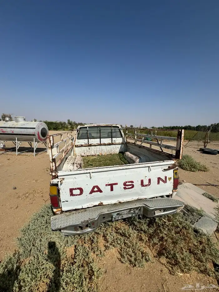 ددسن مزرعه وحلال 0