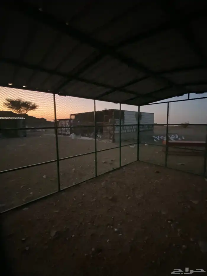 شبك 4 متر في 3 متر جديد 3