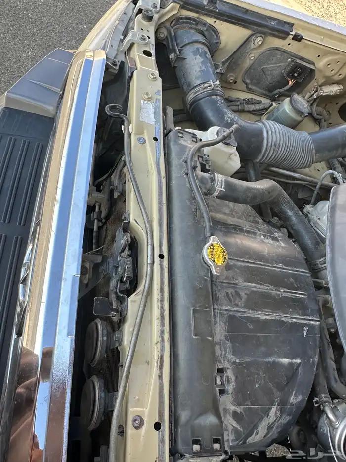 الموقع ابها شاص بريمي فل كامل دفلك مكرة مشروط 20