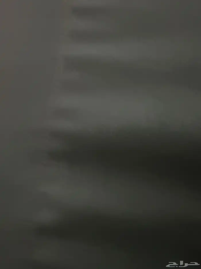 جراوه بلدي كلاب تصلح للحراسه 0