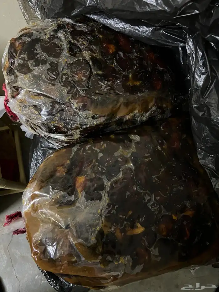 للبيع تمور حلوه سعيدان 3