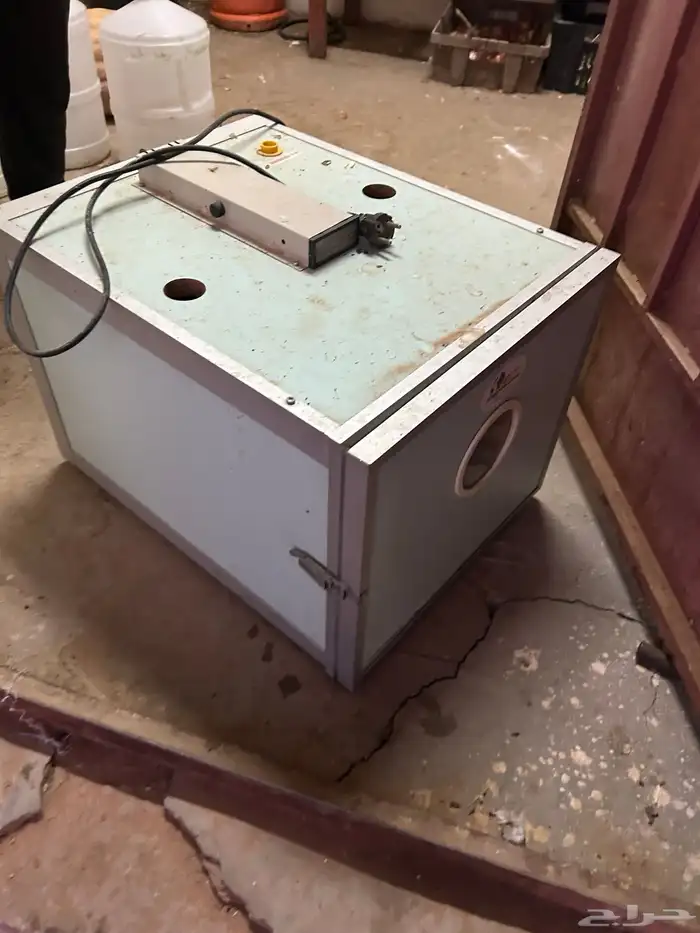 فقاسه ايطاليه للبيع 1