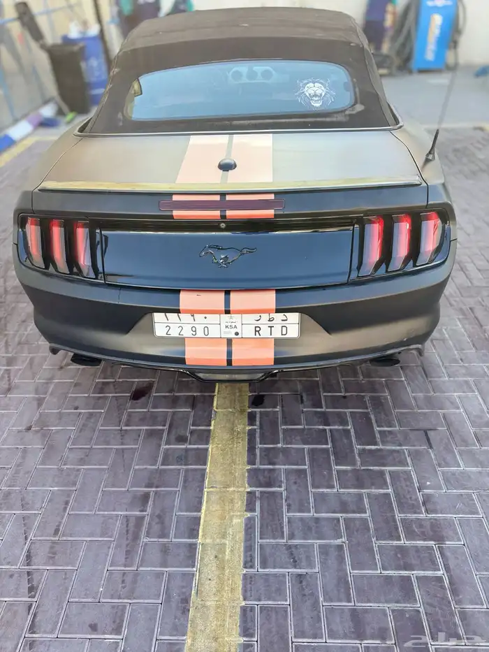 موستنج كشف 2017 8