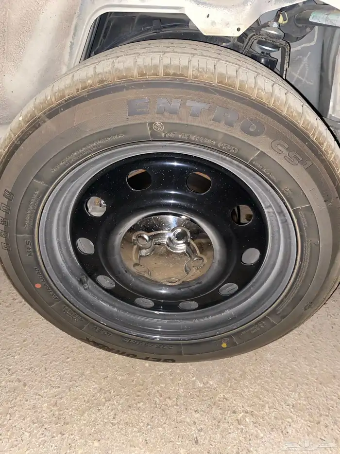 جنوط بوليسي وشبك 0