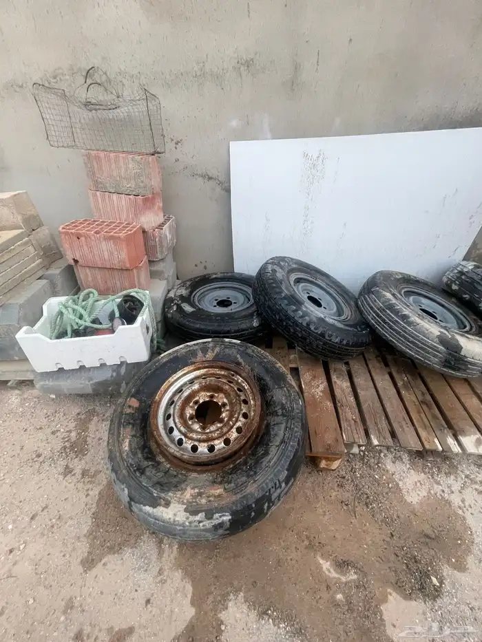 جنوط شاص يصيرا  للربع على السوم 1