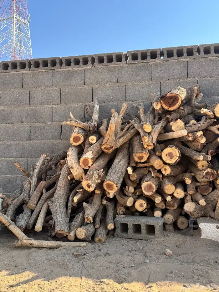 الموقع الرين 1