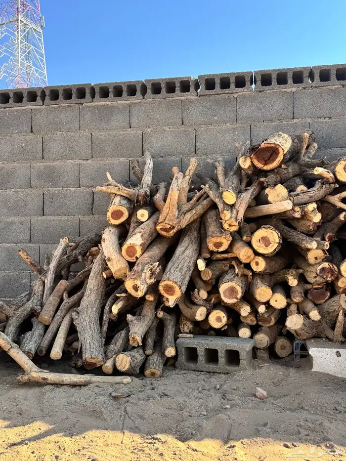 الموقع الرين 0