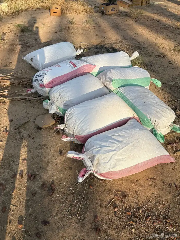 تمر للحلال 0