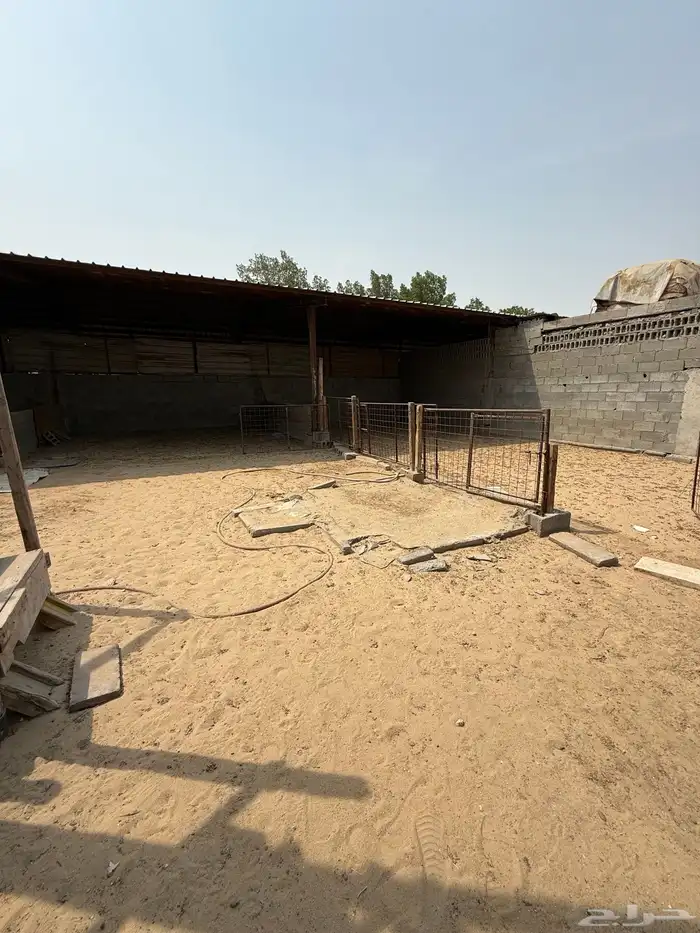 الحوش في سوق الاغنام بالدمام الايجار 1