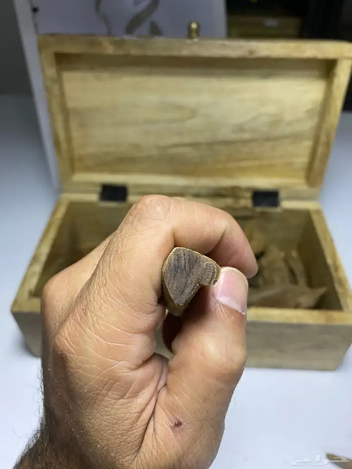 مروكي آصقون طبيعي 1