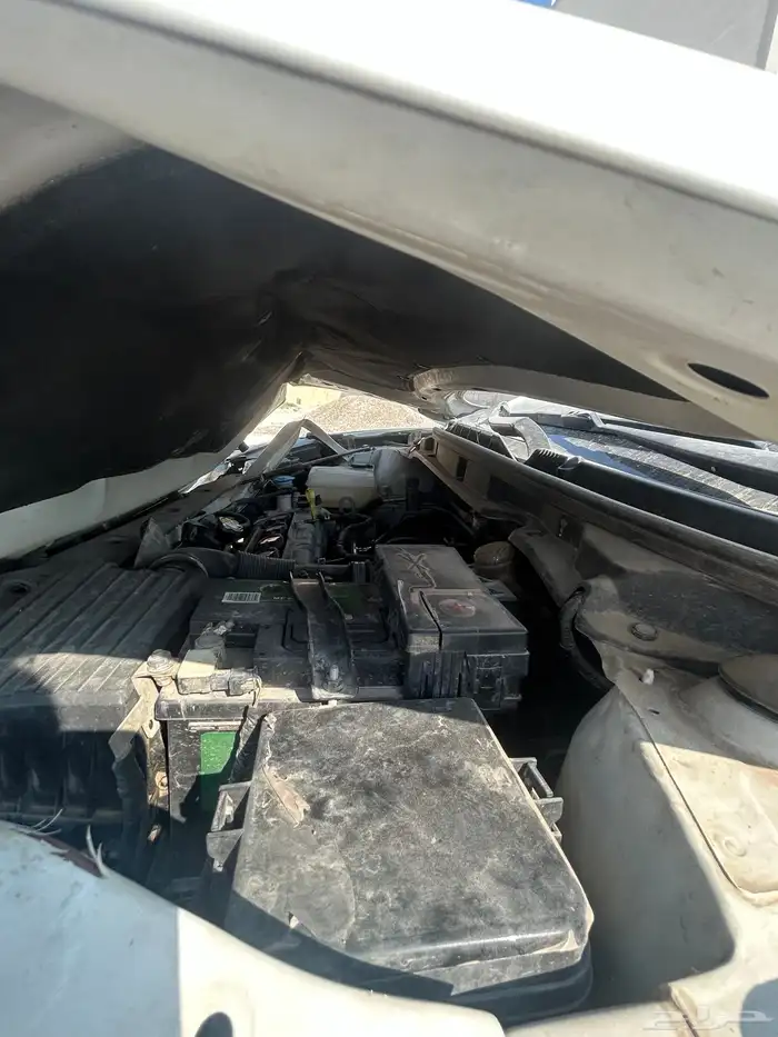 شانجان 2021 السفن 0