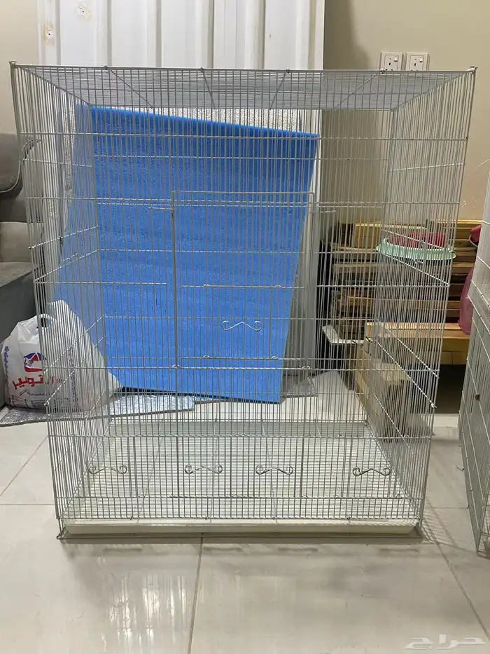 مطير وقفاص 601 1