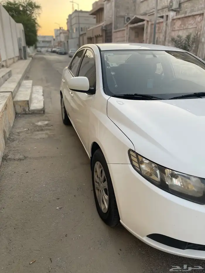 سيراتوا للبيع 11