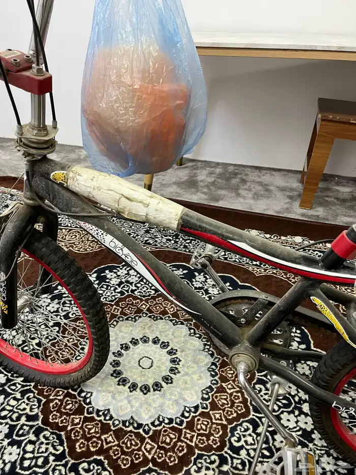 سيكل كوبرا 3