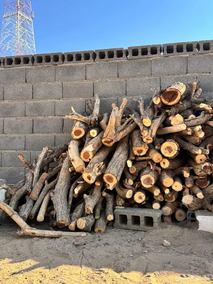 الموقع الرين 2