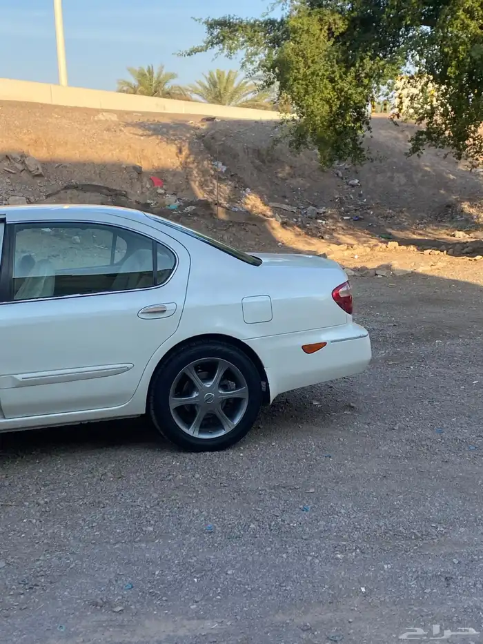 البيع نيسان مكسيما 4