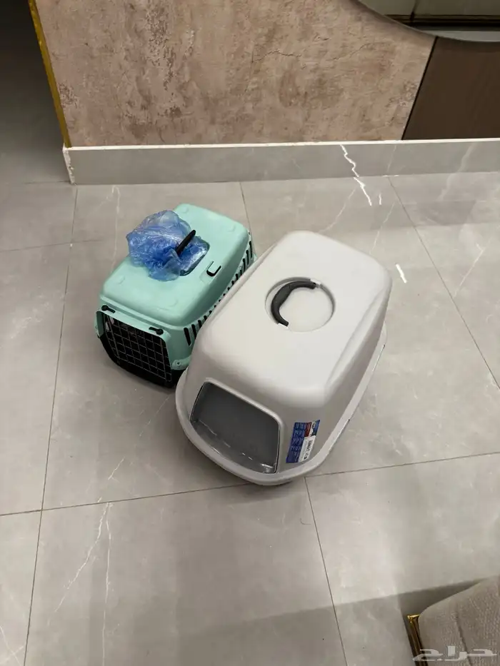 قطوة شيرازي 6