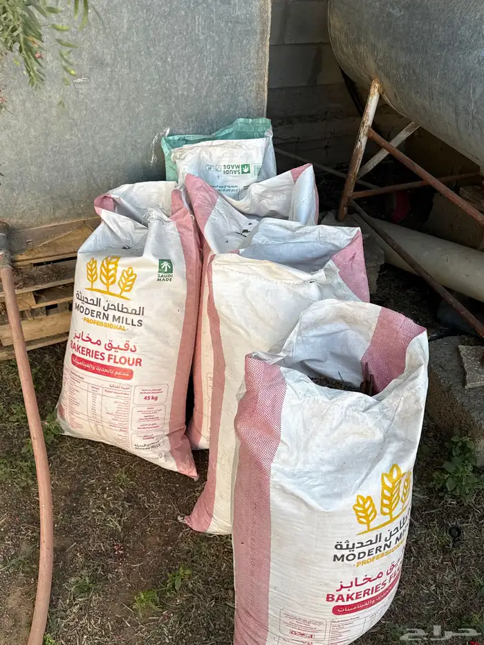 دمن نظيف جدا جدا صافيي 0