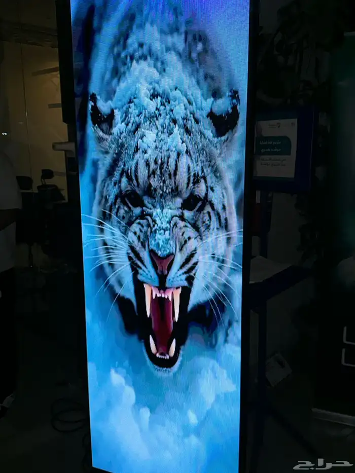 شاشات LED للايجار والبيع 1