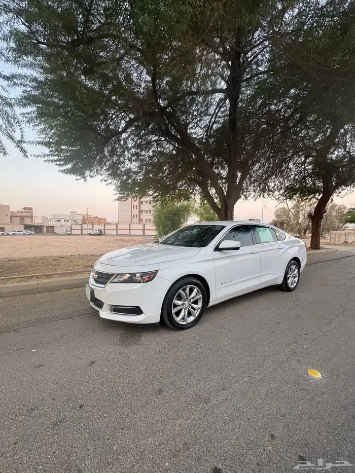 امبالا 2014 LS 15